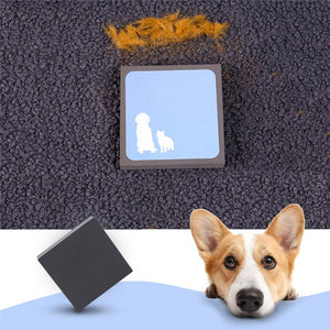 Pet  Hair Cleaning Brush